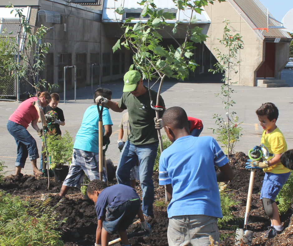 Students planting young trees