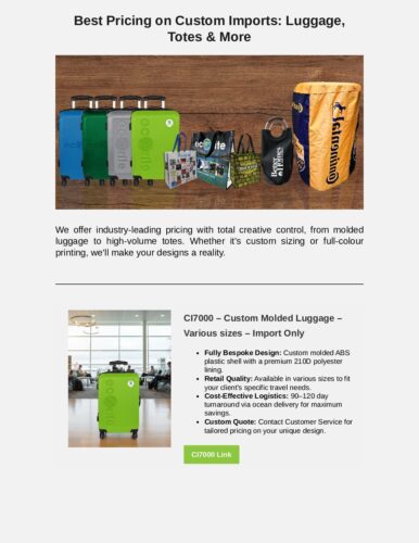 Best Pricing on Custom Imports Luggage Totes  More